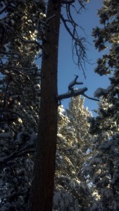 Universal White Time Healing