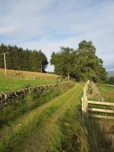 Universal White Time Healing